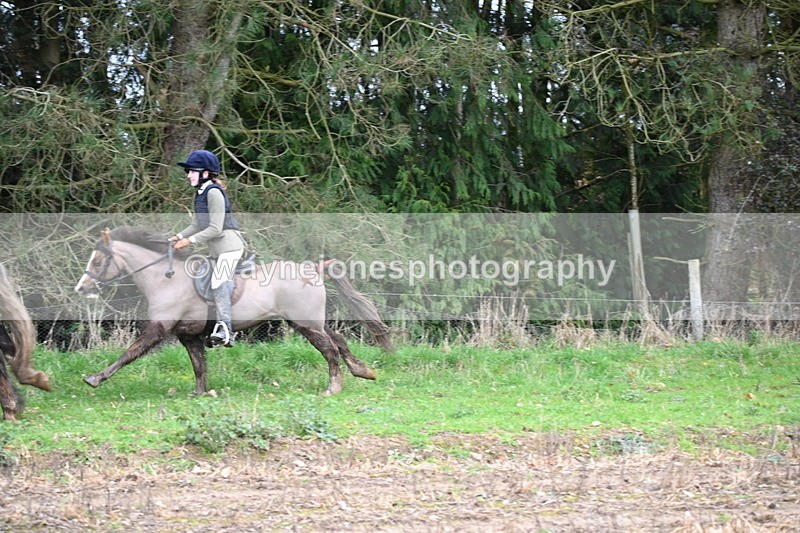 WJ6_9704 - Line Four