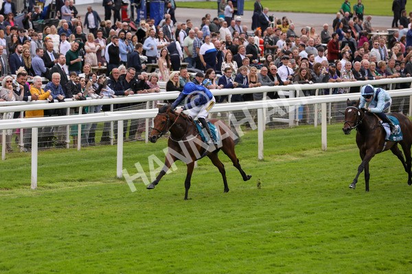 140624-Race 2-Inconspicuous-5558 - Race 2 2.25pm CGE Yorkshire Rous Selling Stakes