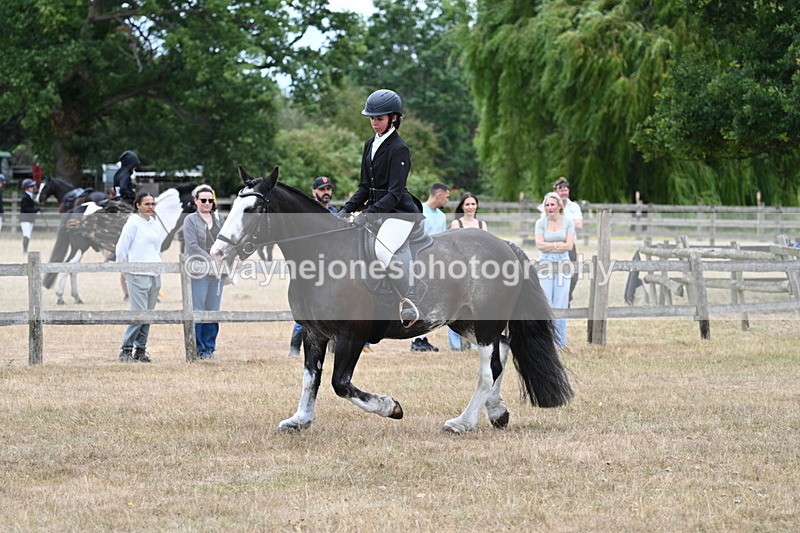 WJ7_7103 - Class 2 Best Rider