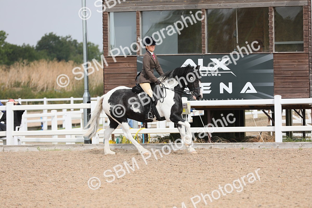 SBM_12789 - Class 307 Ridden Coloured Pony
