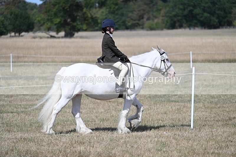 WJ7_1192 - Class 41 Prettiest Mare