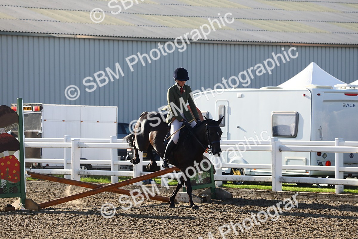 SBM_07894 - Class 501 - Riding Club Pony