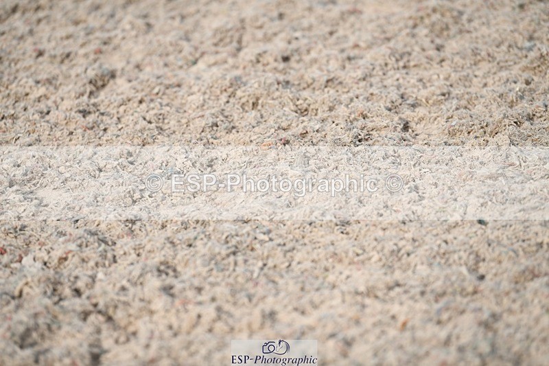 250309-092144-03134 - Cls 18-20 CR, Club and Schools 60cm