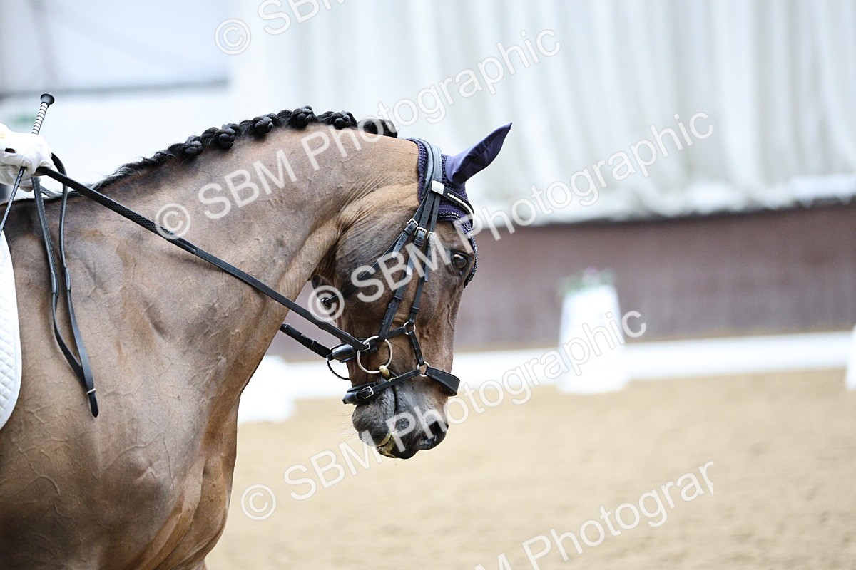 SBM_001645 - Class 7 - Elementary 5