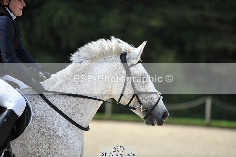 230820-102832-00253 - 80cm - Round 1