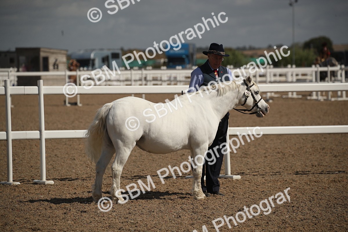 SBM_23520 - Class 605 - 2026 - Area - IH Veteran