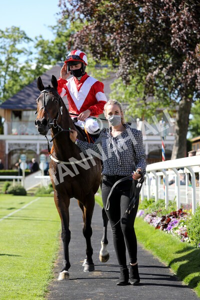  - Race 6 4.50pm The Ice Co supporting Macmillan Stakes