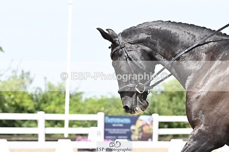 250621-124911-08032 - Cls 27 - Novice 6, 12.20 to End