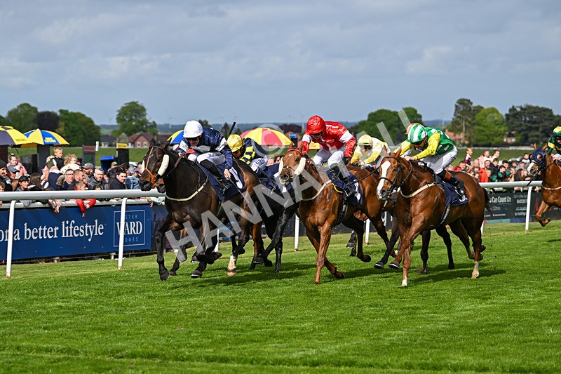 050525-Race 5-Hover On The Wind-4959 - Race 5