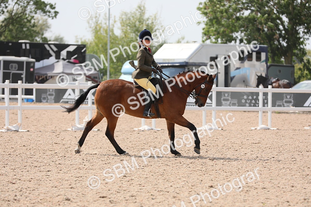 SBM_15592 - Class 311 Ridden Show Pony/ Show Hunter Pony
