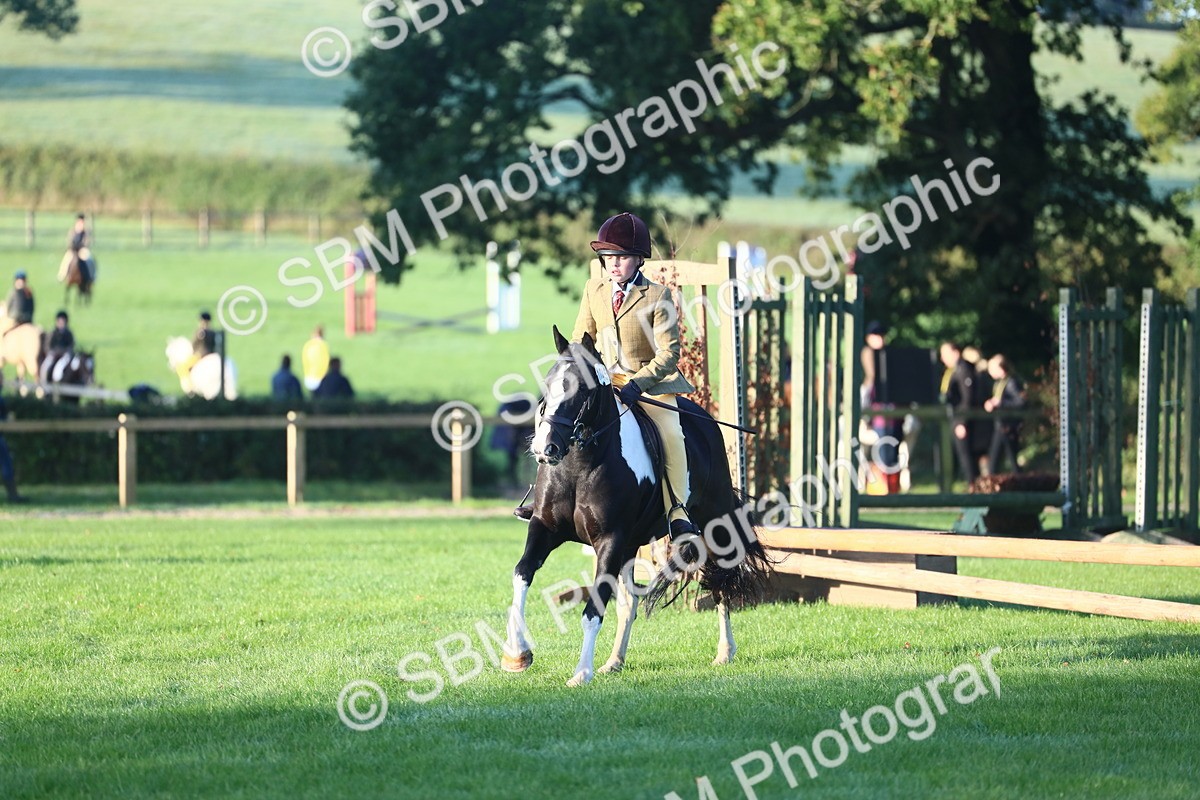 SBM_31780 - S28 - Nursery Stakes Working Hunter Pony