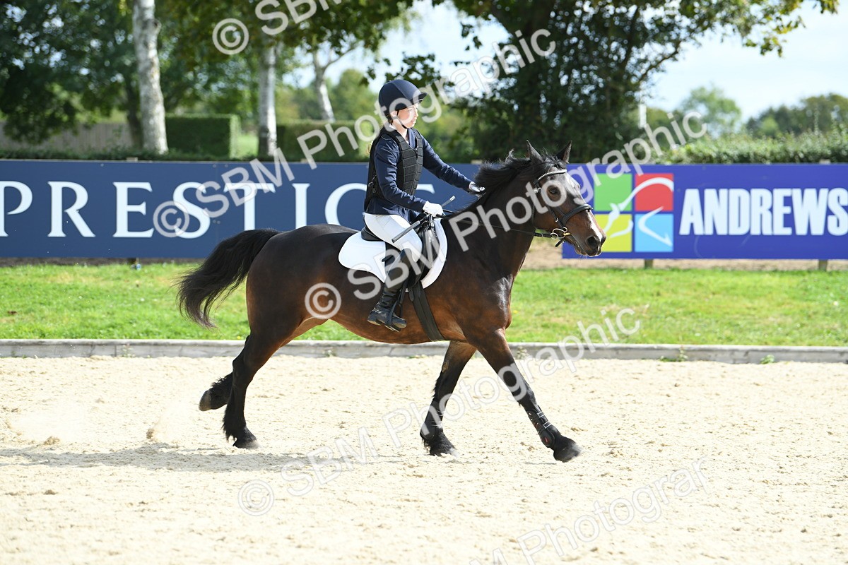 SBM_64666 - J48 - Pairs Jumping Open 70cm & 85cm