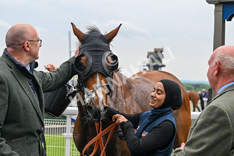 140524-Race 5-Coolree-2551 - Race 5