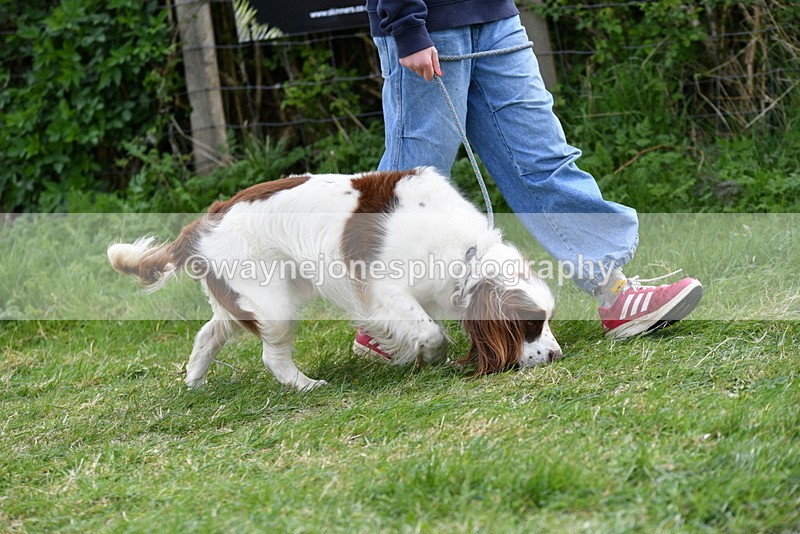 WJ5_9953 - Class 5 Best Veteran / 7 years & over