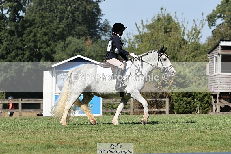 250823A-110023-27850 - Arena D