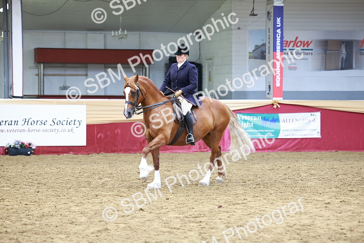 SBM_18619 - Class 952 - M&M Ridden Supreme Final