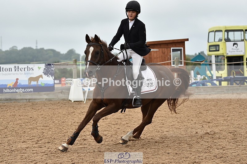 230902A-113154-00744 - Cls 2B Pony Small 80cm