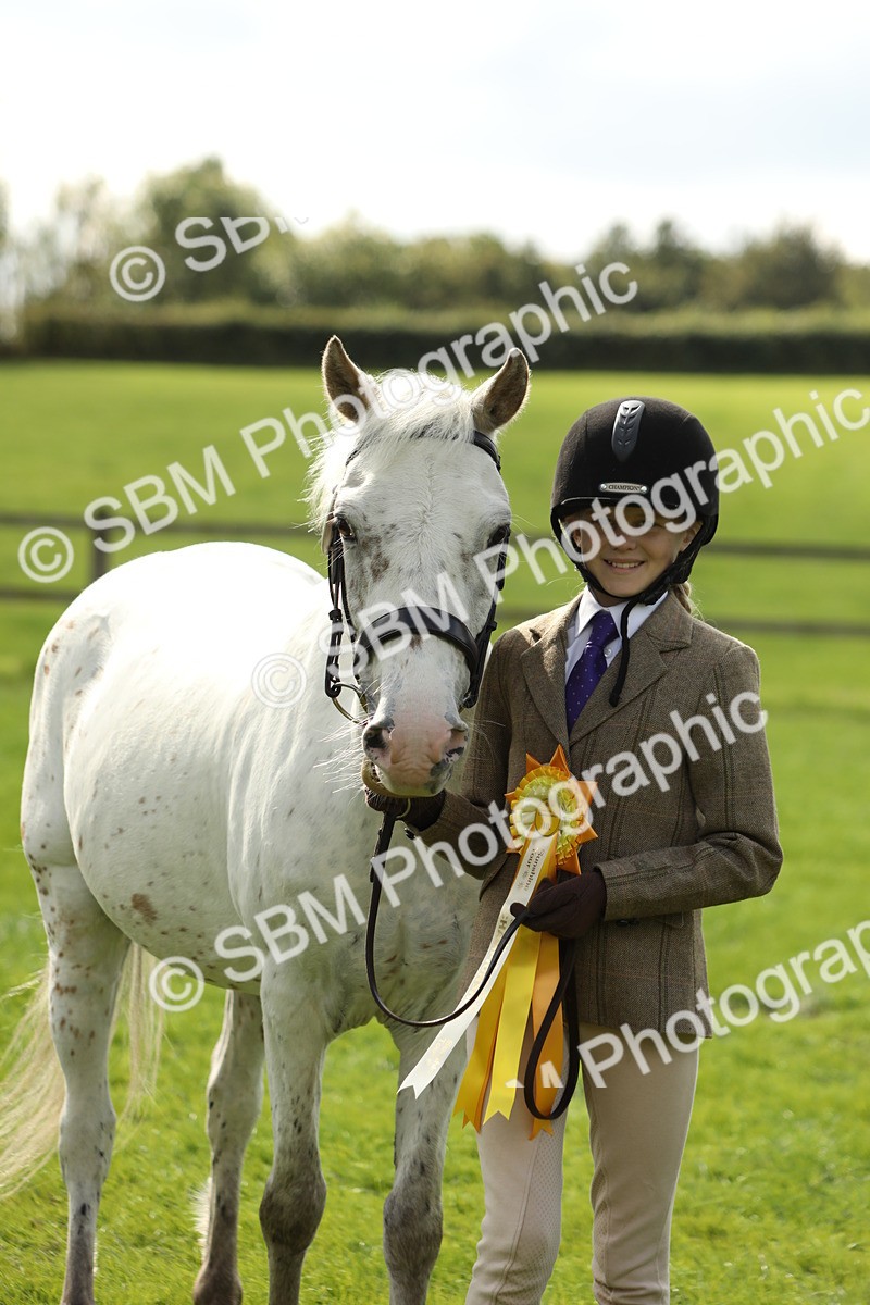 SBM_62879 - S46 - Mountain & Moorland In Hand Small Breeds