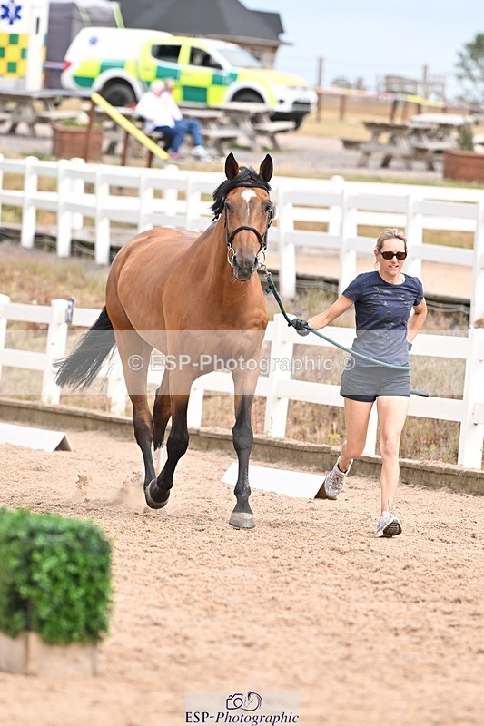 250716-153940-02092 - Trot Up 3.30 to 4.30