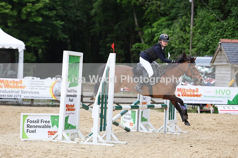 3E7A0131 - Class 13: Pony British Novice/80cm open