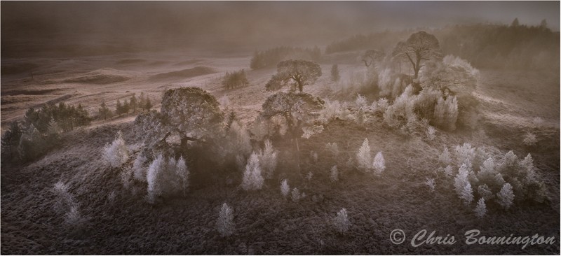 The Lost World - Aerial