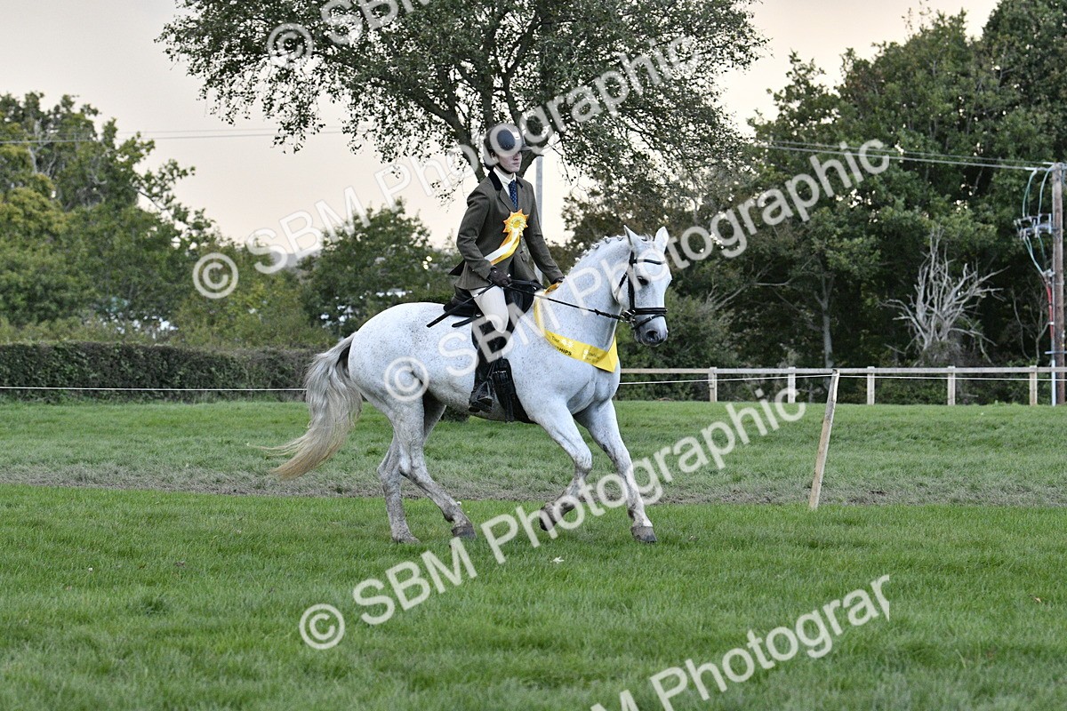 SBM_53310 - S14 - Riding Club Horse