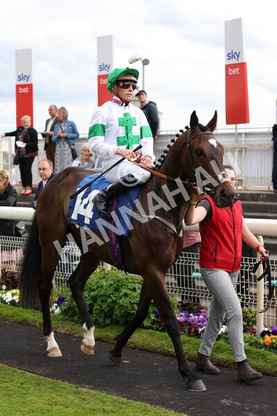 yr22052022r6-13 - Race 6: 6:05pm Sky Bet Sunday Series Stayers Stakes