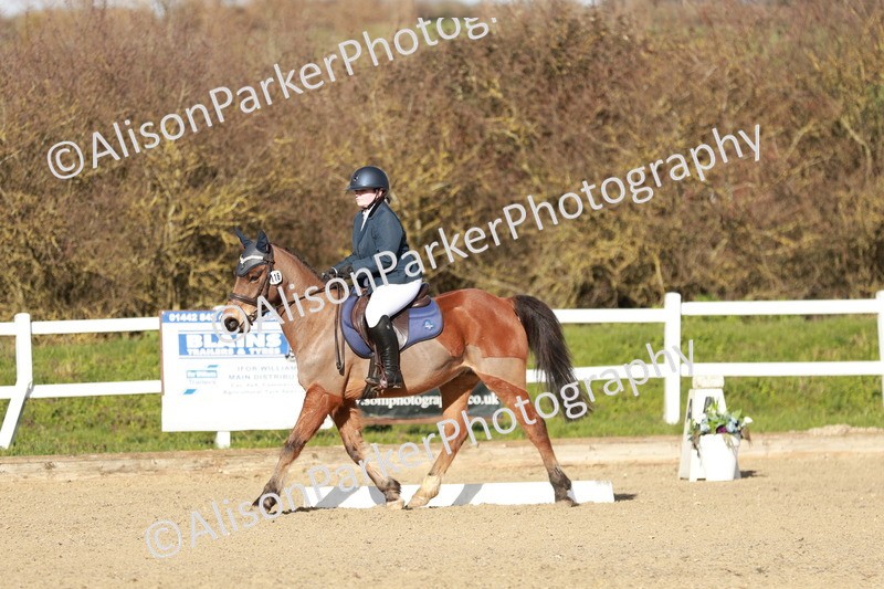 20260314-5316 - DR4 - Prelim 2