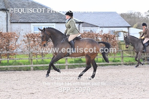 BPP_6979 - RING 1  (RIDDEN HORSES / IN HAND / VETERAN ETC)
