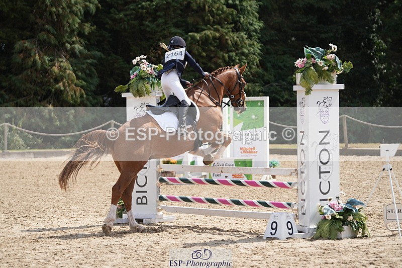 250824A-132257-37460 - 2164-Violet.Guerin-What's.his.name