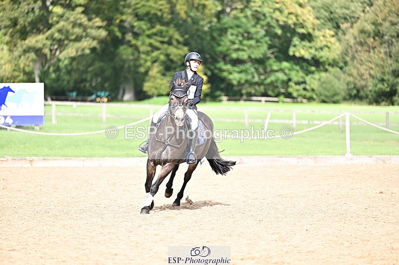 251005A-134525-04146 - Cls 09 Nov 80-85cm