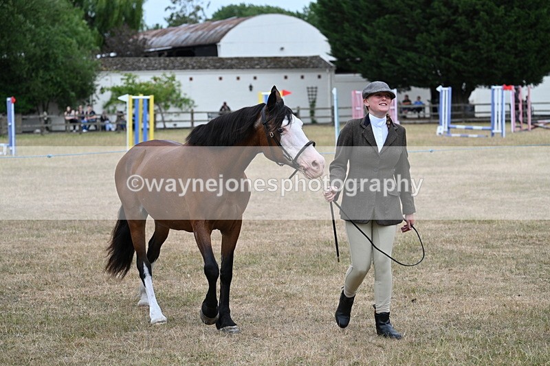 WJ7_8460 - Class 4 Prettiest Mare up to 14.2hh