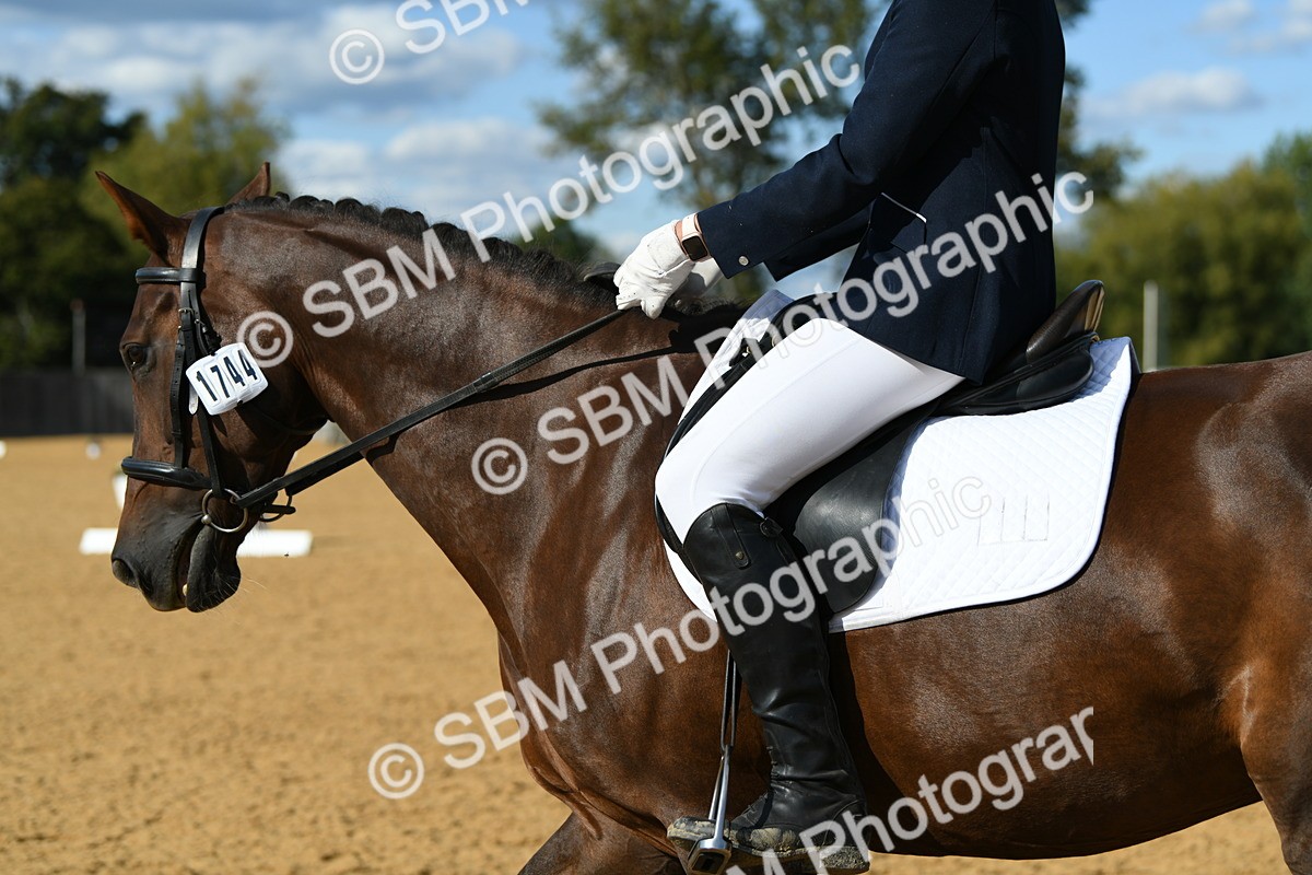 SBM_27038 - D16 - Small Tour Championship - Novice 28