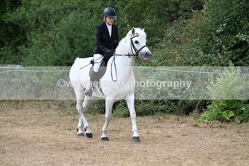 WJ7_0390 - Class 6 Ridden Mountain and Moorland