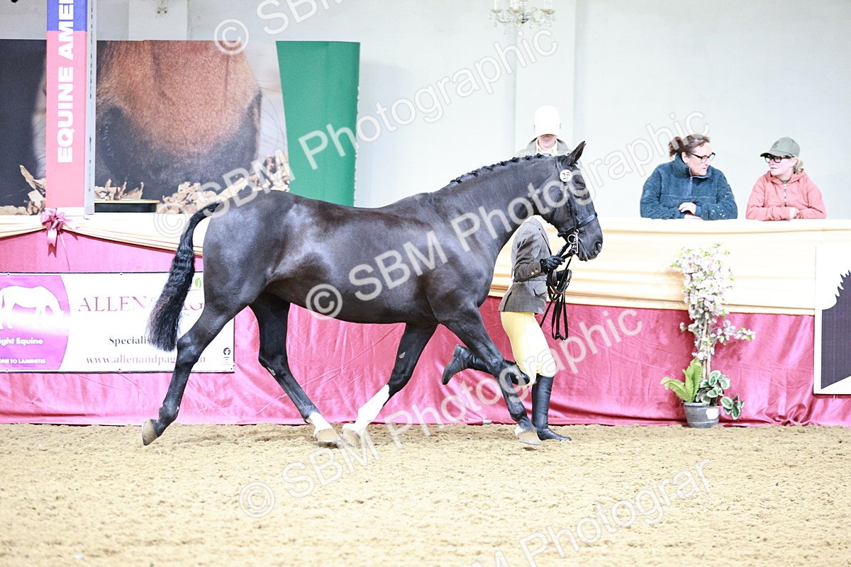 SBM_00152 - Class 1A - Area IH Diamond