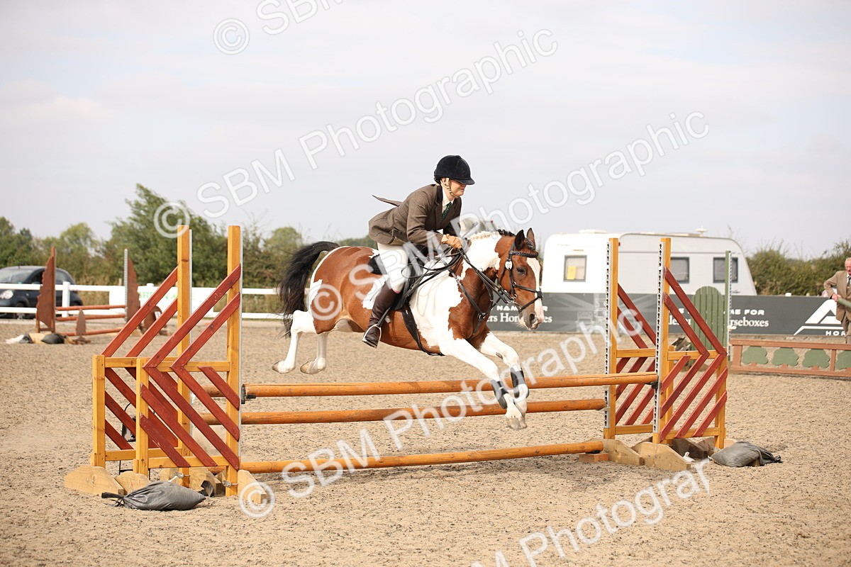 SBM_17138 - Class 409b - Working Veteran 80cm (20+)