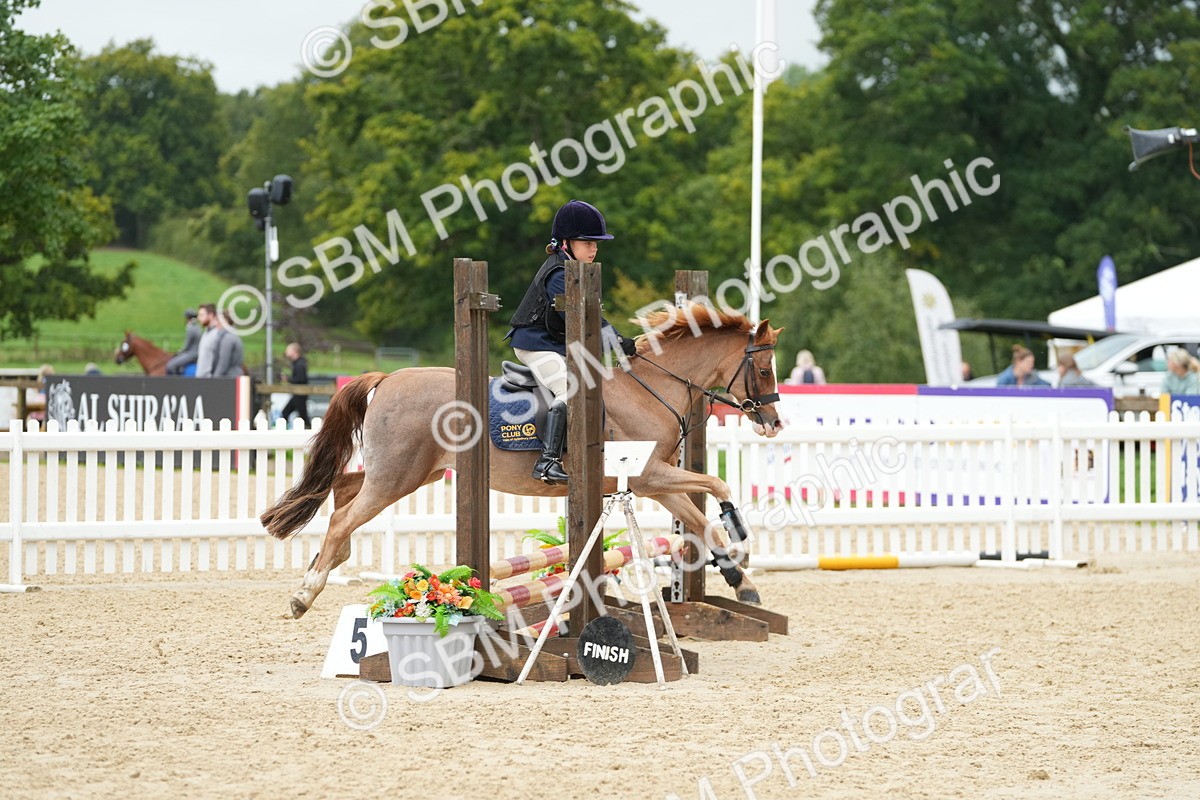 SBM_33413 - J5 - Junior Pony 50cm Championship