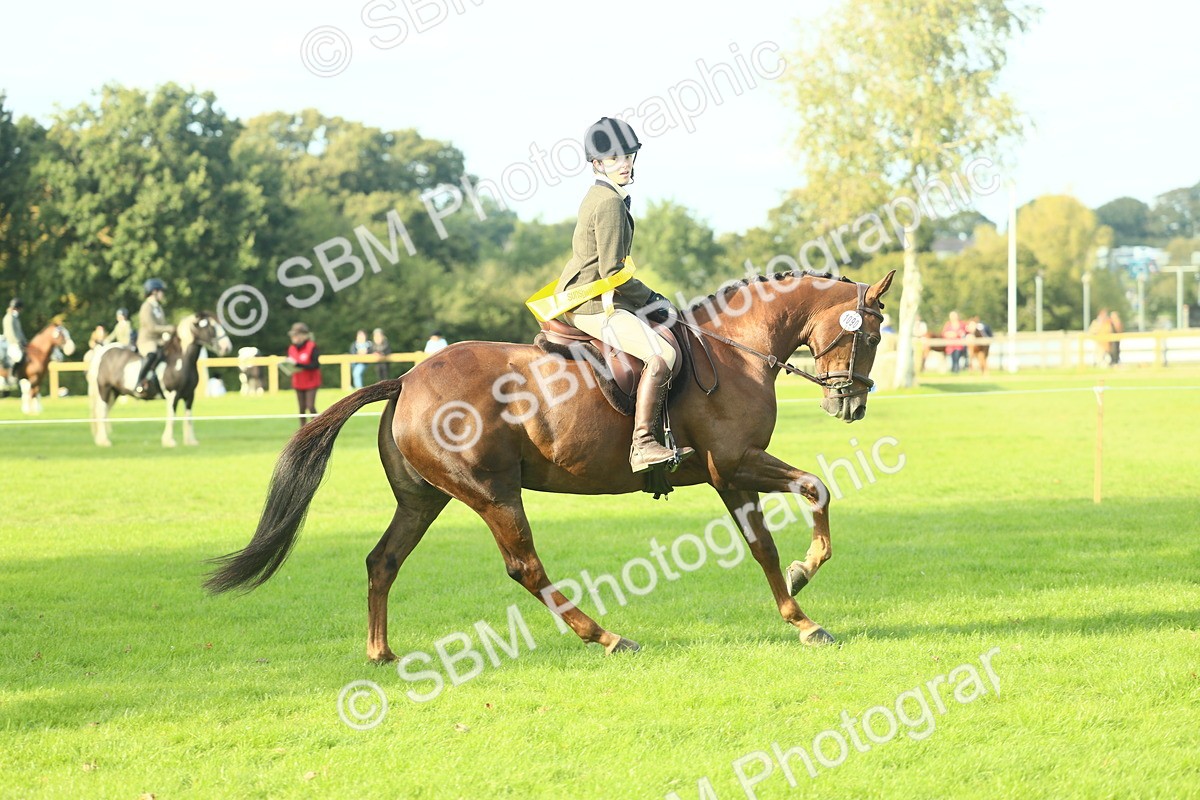 SBM_52281 - Working Hunter Supreme Championship