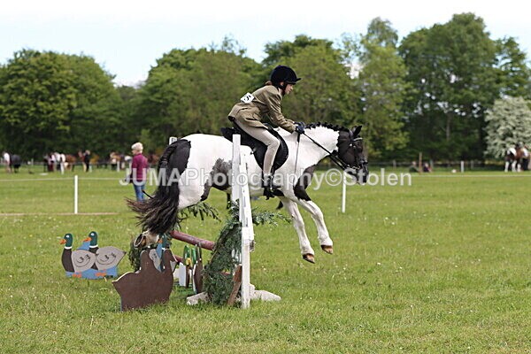 IMG_2929 - Working Hunter