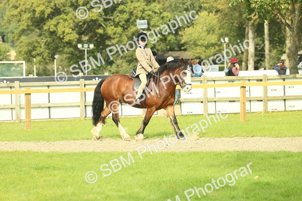 SBM_69044 - S58 - Mini Show Cob Ridden