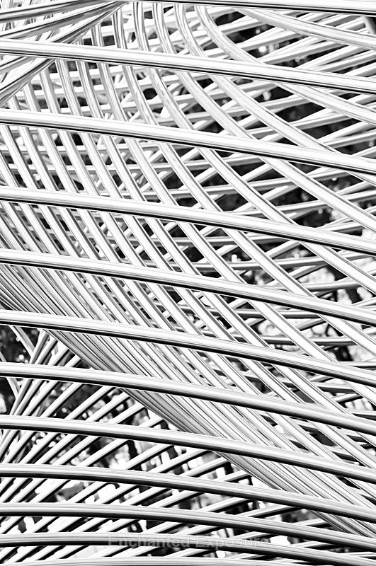 Ybor City 3 - Architecture and Sculptures