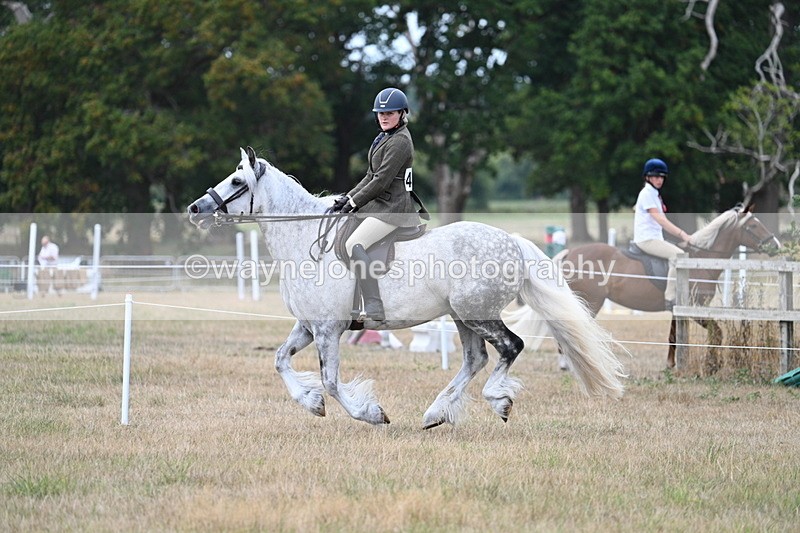 WJ7_5026 - Class 12 Ridden Cob