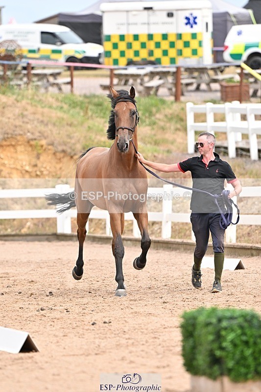 250716-153441-02022 - Trot Up 3.30 to 4.30