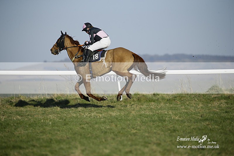 PtP 270222 260 - South & West Wilts Point-to-Point Larkhill 27/02/22