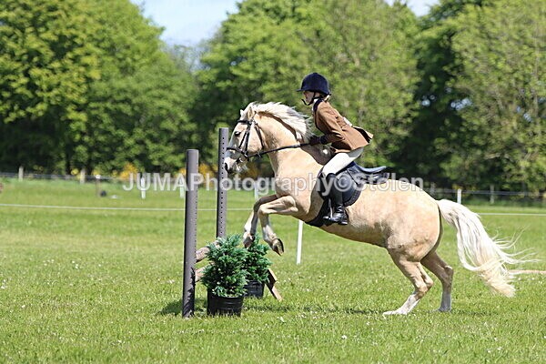 IMG_3661 - Working Hunter