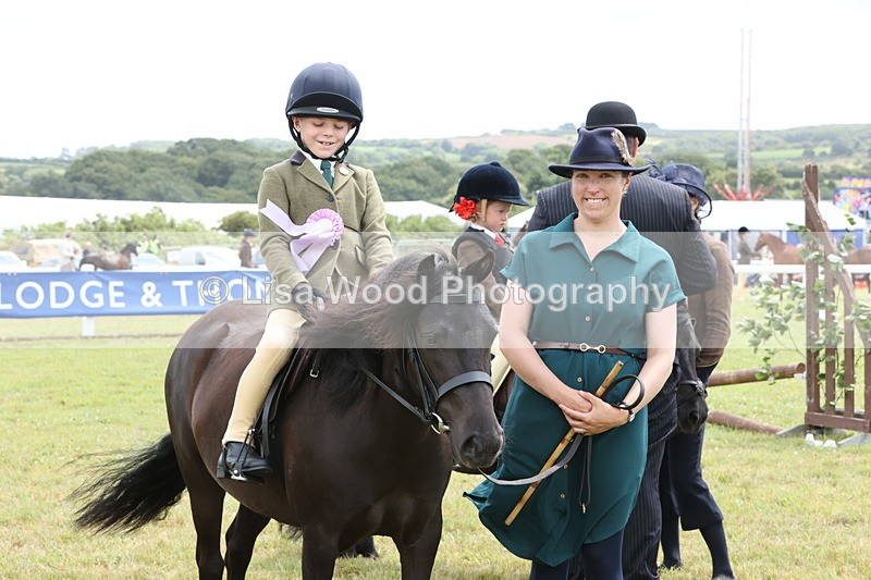 JPP_1997 - Class 18: Tiny Tots Working Hunter Pony