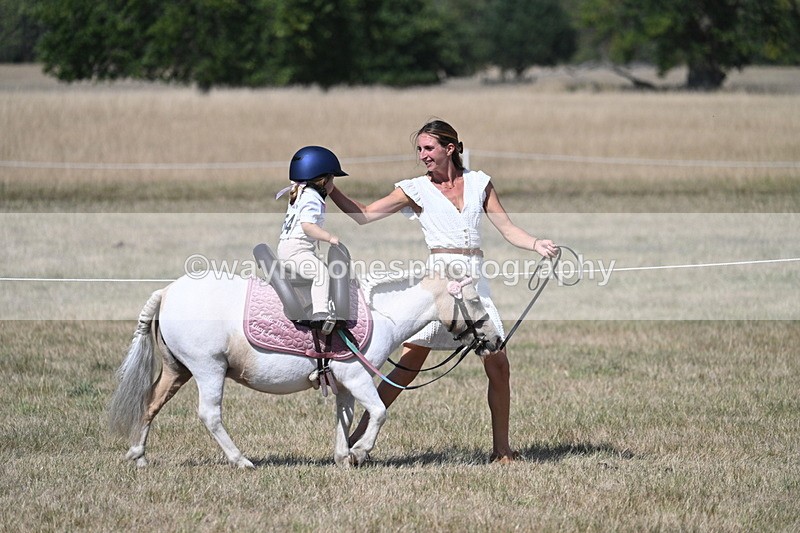 WJ7_1239 - Class 41 Prettiest Mare