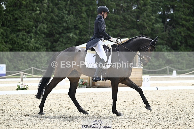 000101-190416-03841 - 426-VISCOUNT_VIKTOR-Tim_Price