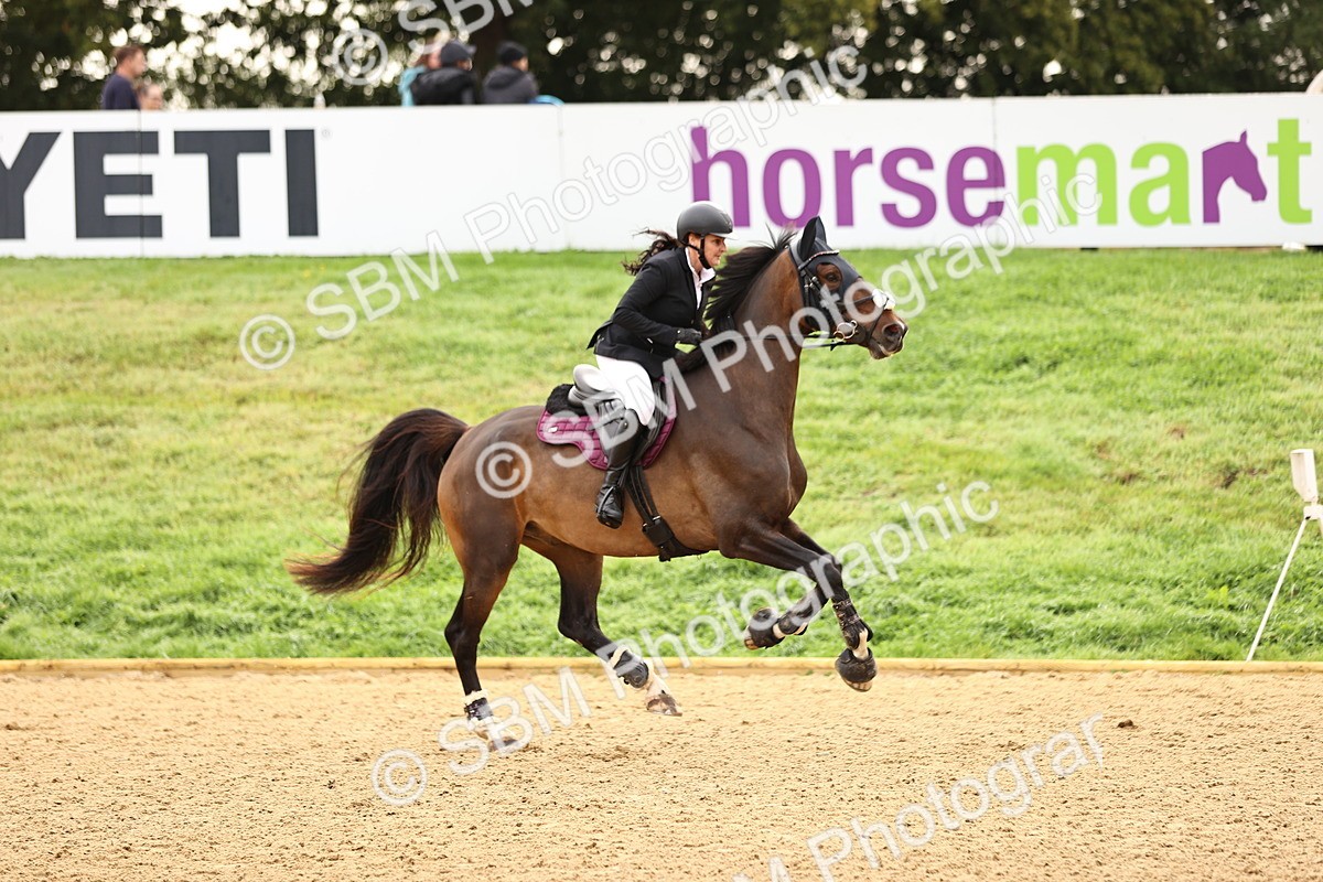 SBM_58539 - J41 - Grand Tour Horse & Pony 95cm