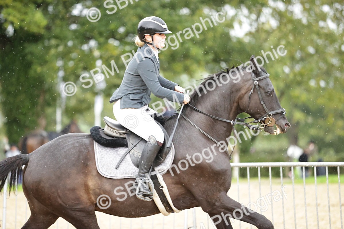 SBM_35914 - J38 - Senior Horse & Pony 80cm Championship